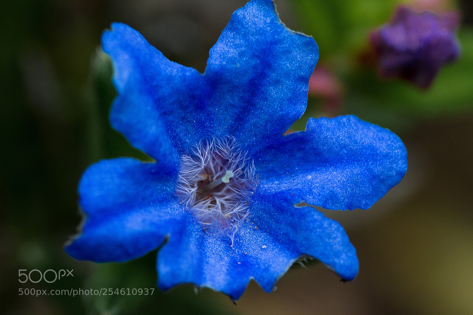 Canon EOS 7D sample photo. Blue insight photography