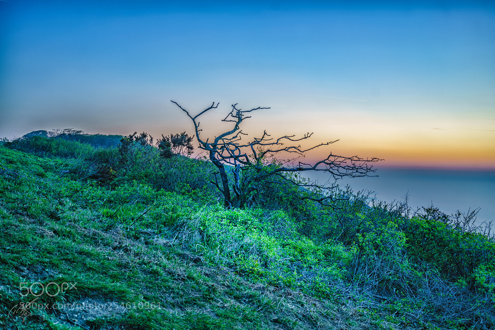 Sony a7R II sample photo. Beachy head photography