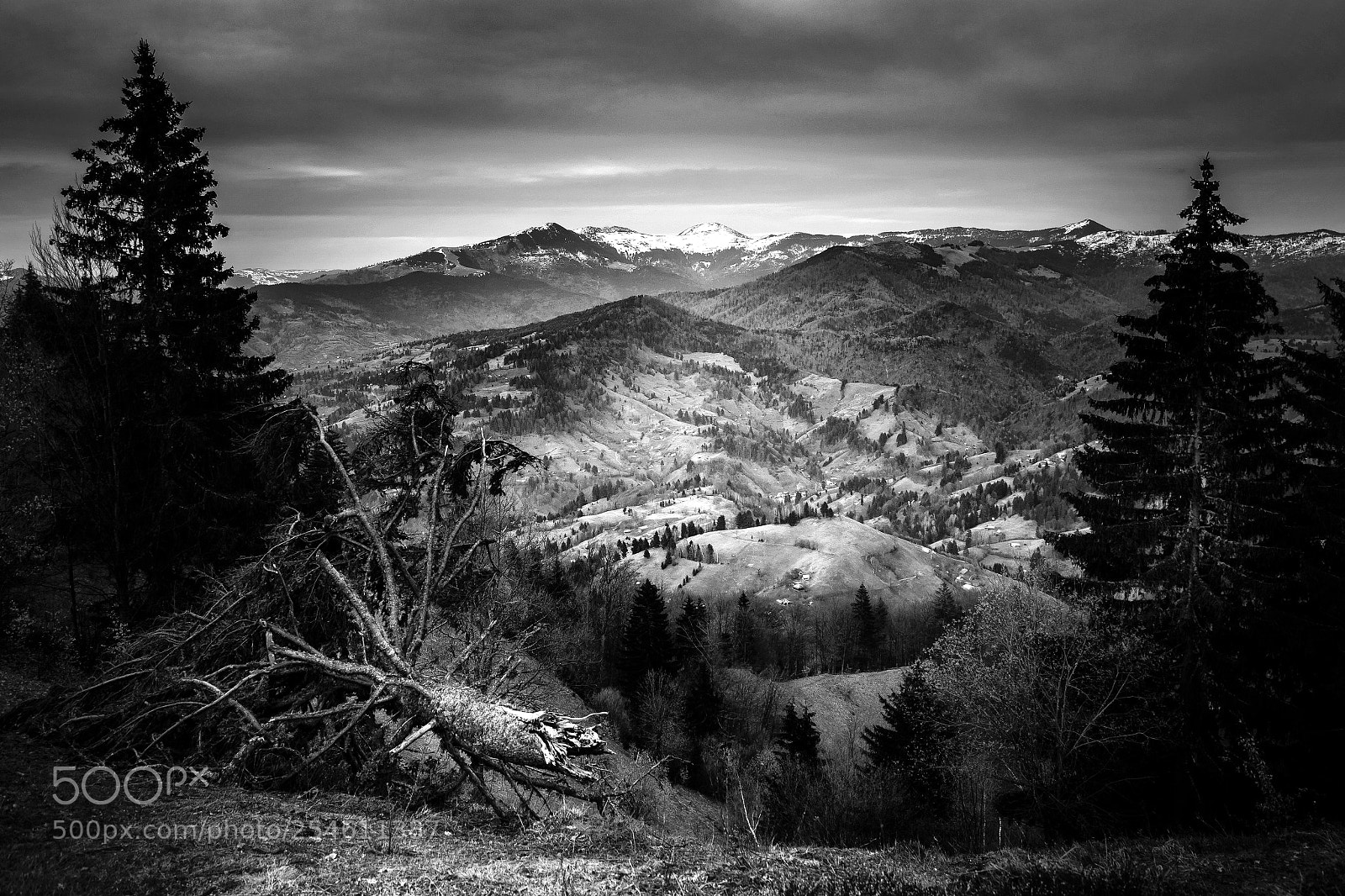 Nikon D5300 sample photo. Maramures photography