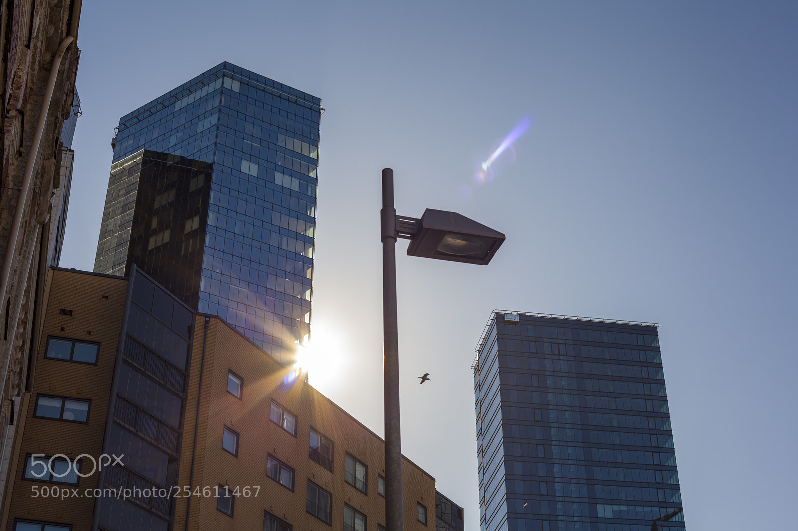 Canon EOS 5D Mark II sample photo. Tallinn maakri photography