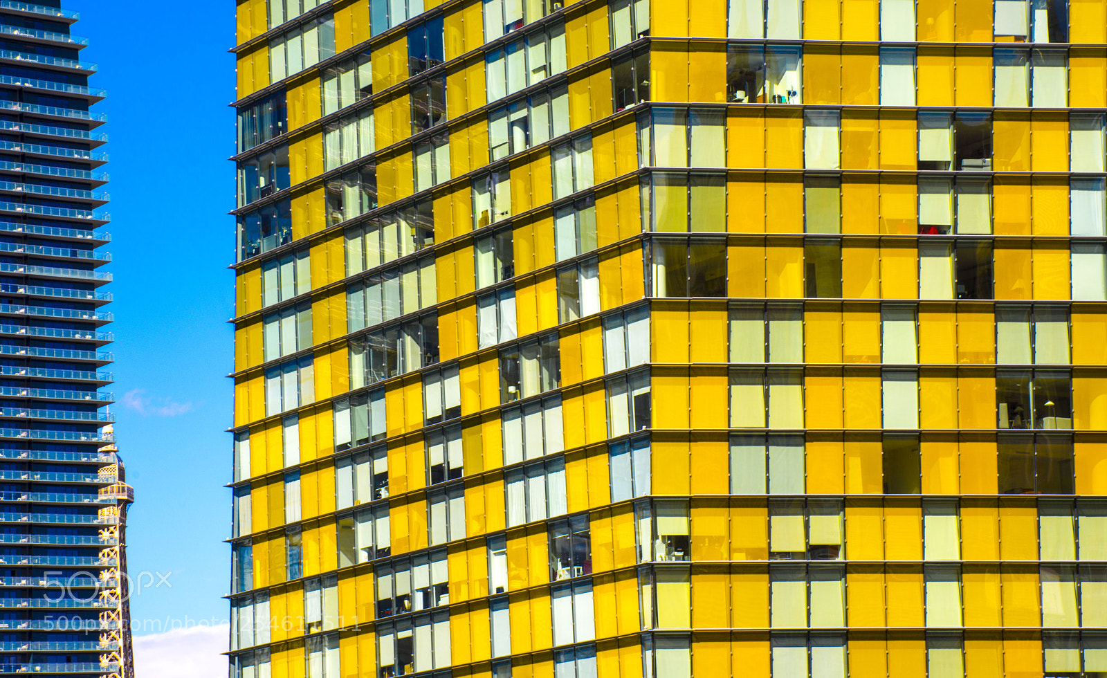 Nikon D7200 sample photo. And it was yellow photography