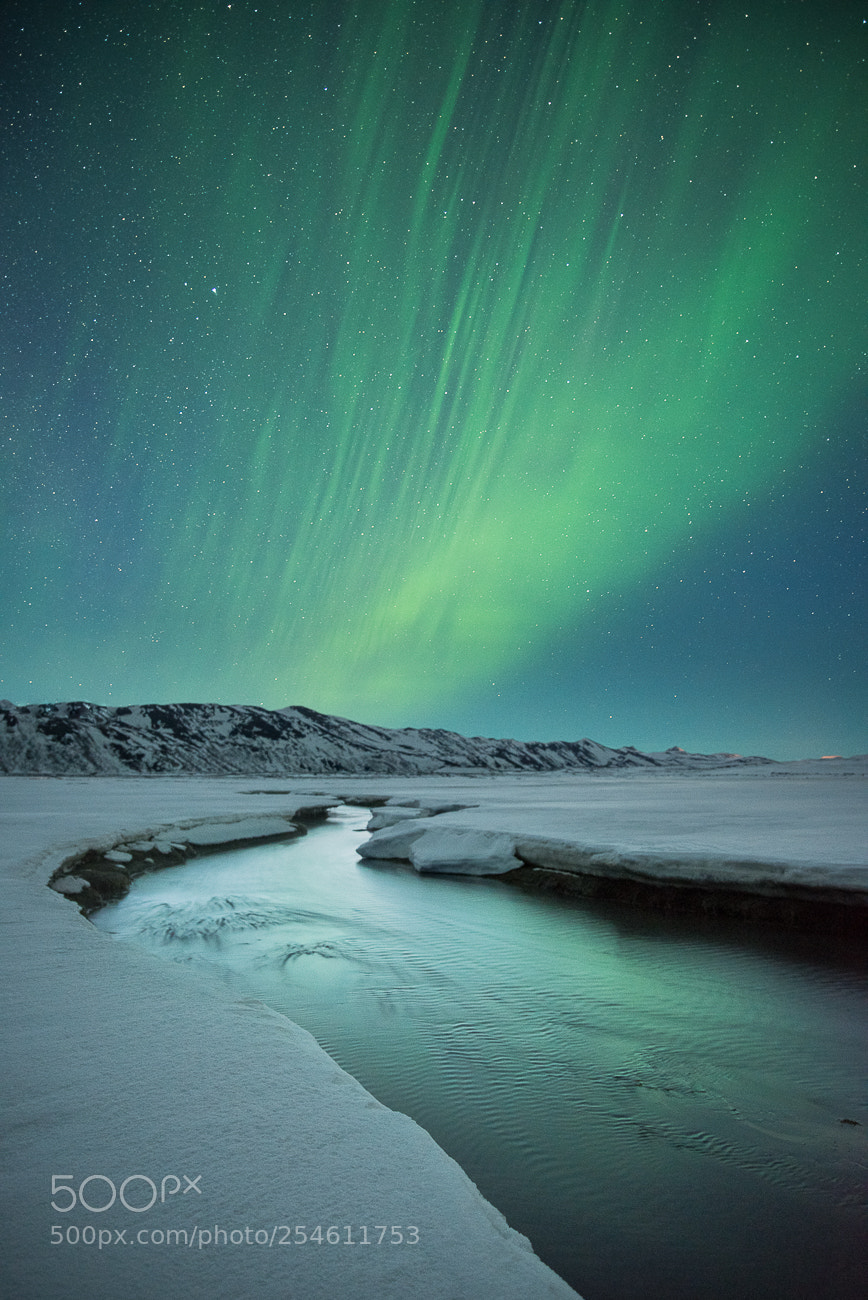 Nikon D810 sample photo. Myvatn aurora photography