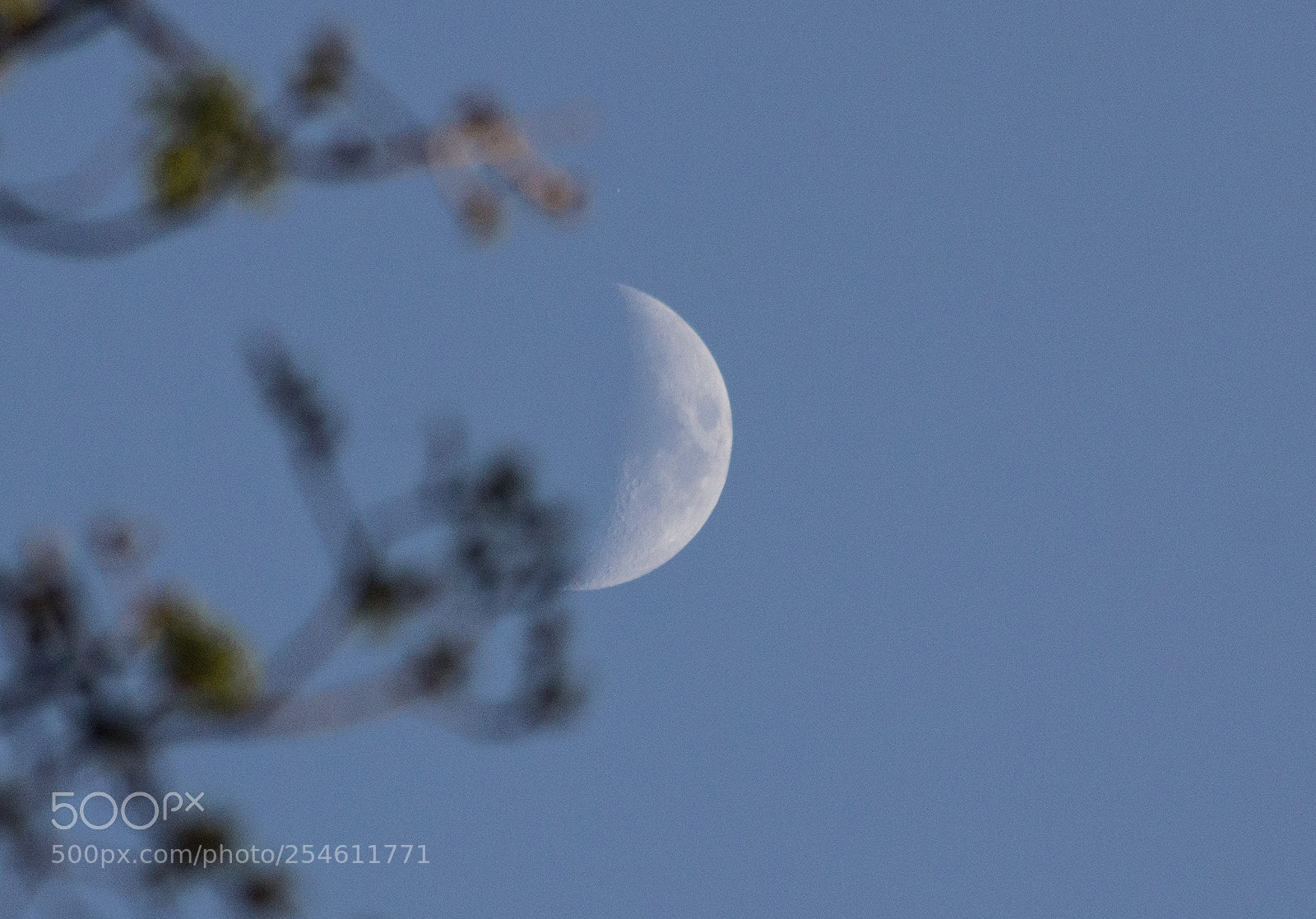 Canon EOS 600D (Rebel EOS T3i / EOS Kiss X5) sample photo. The moon on day photography