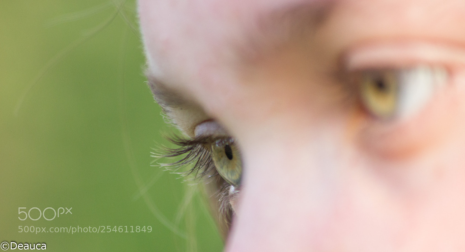 Canon EOS 600D (Rebel EOS T3i / EOS Kiss X5) sample photo. Carolina's eyes photography