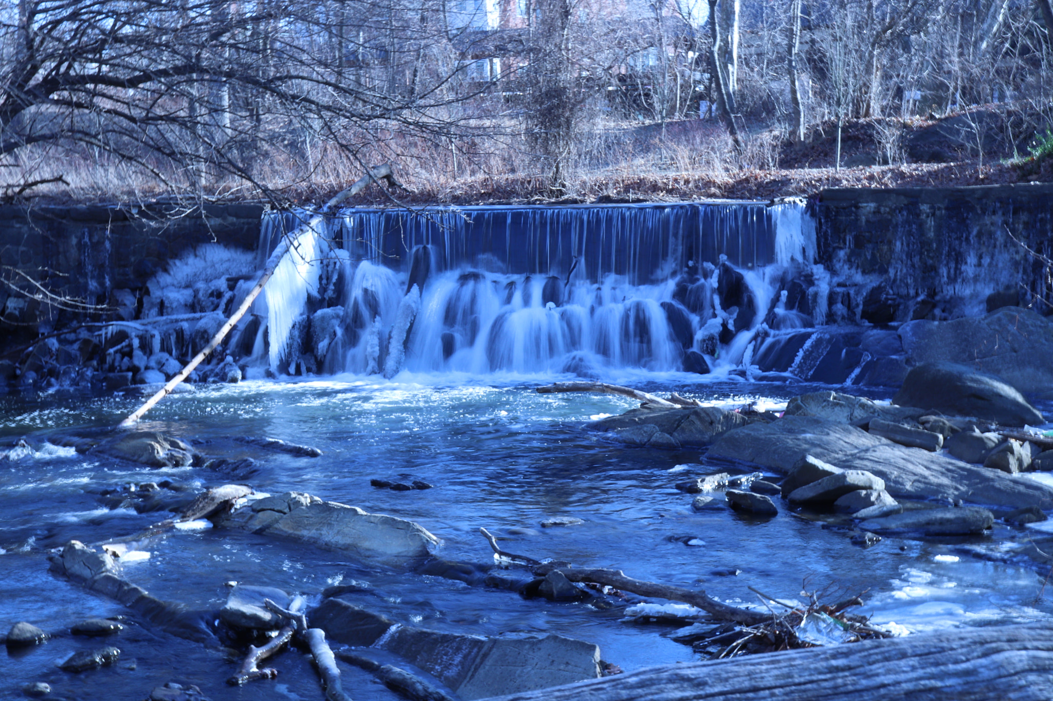 Canon EOS 77D (EOS 9000D / EOS 770D) sample photo. Waterlife photography