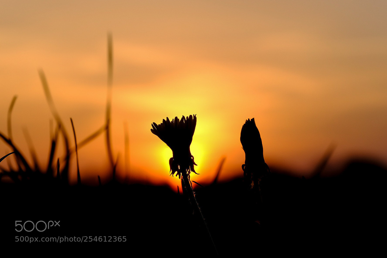 Fujifilm X-T2 sample photo. Sunset photography