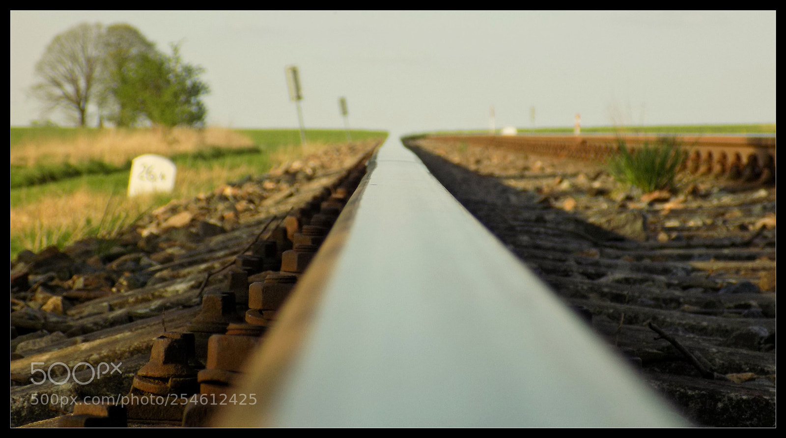 Nikon COOLPIX L340 sample photo. Train tracks photography