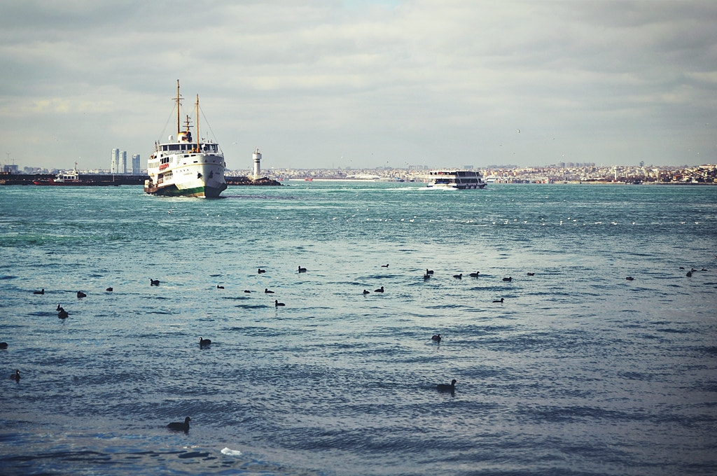 Nikon D5000 sample photo. İstanbul. in the capital of the world photography