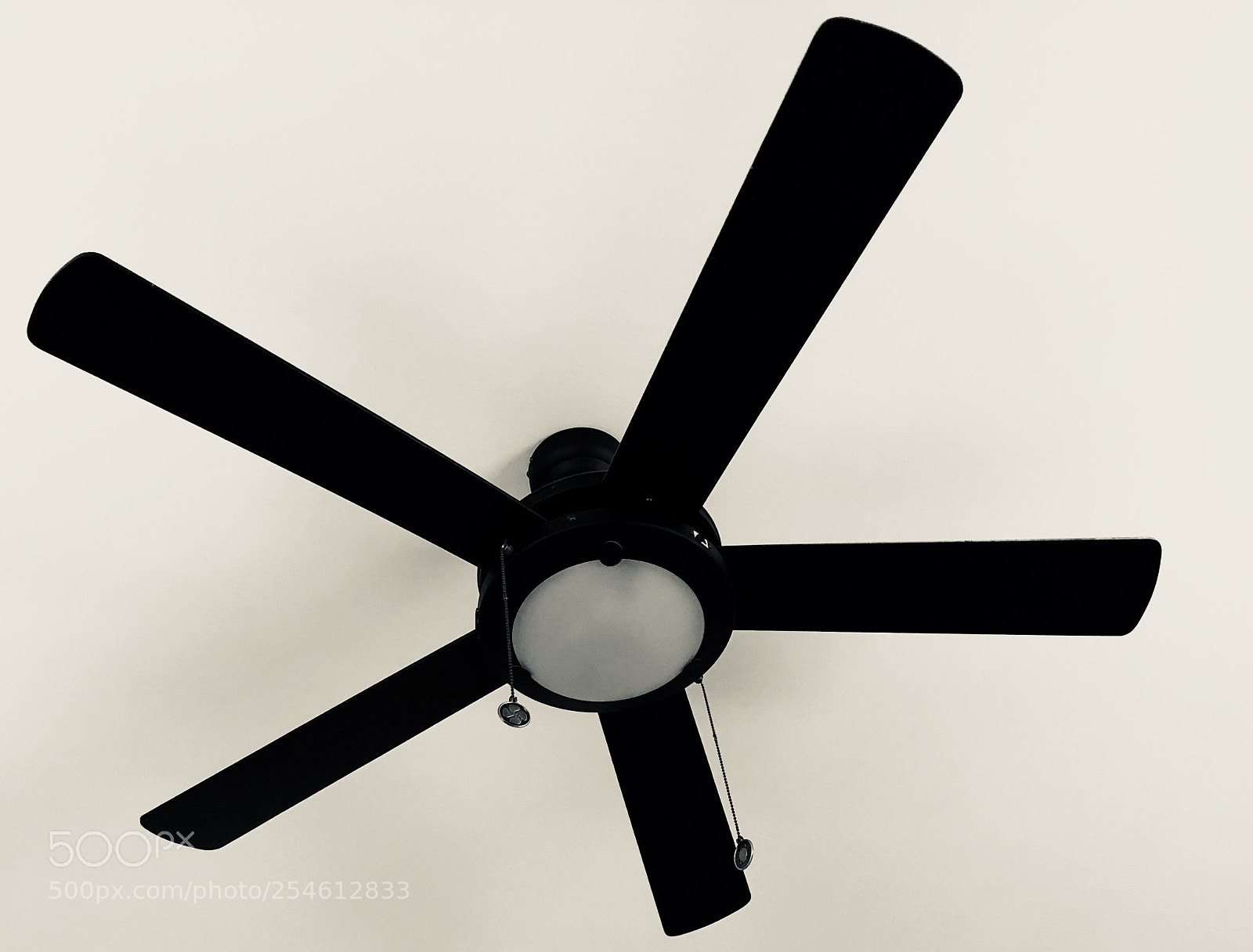 Apple iPhone X sample photo. Fan photography