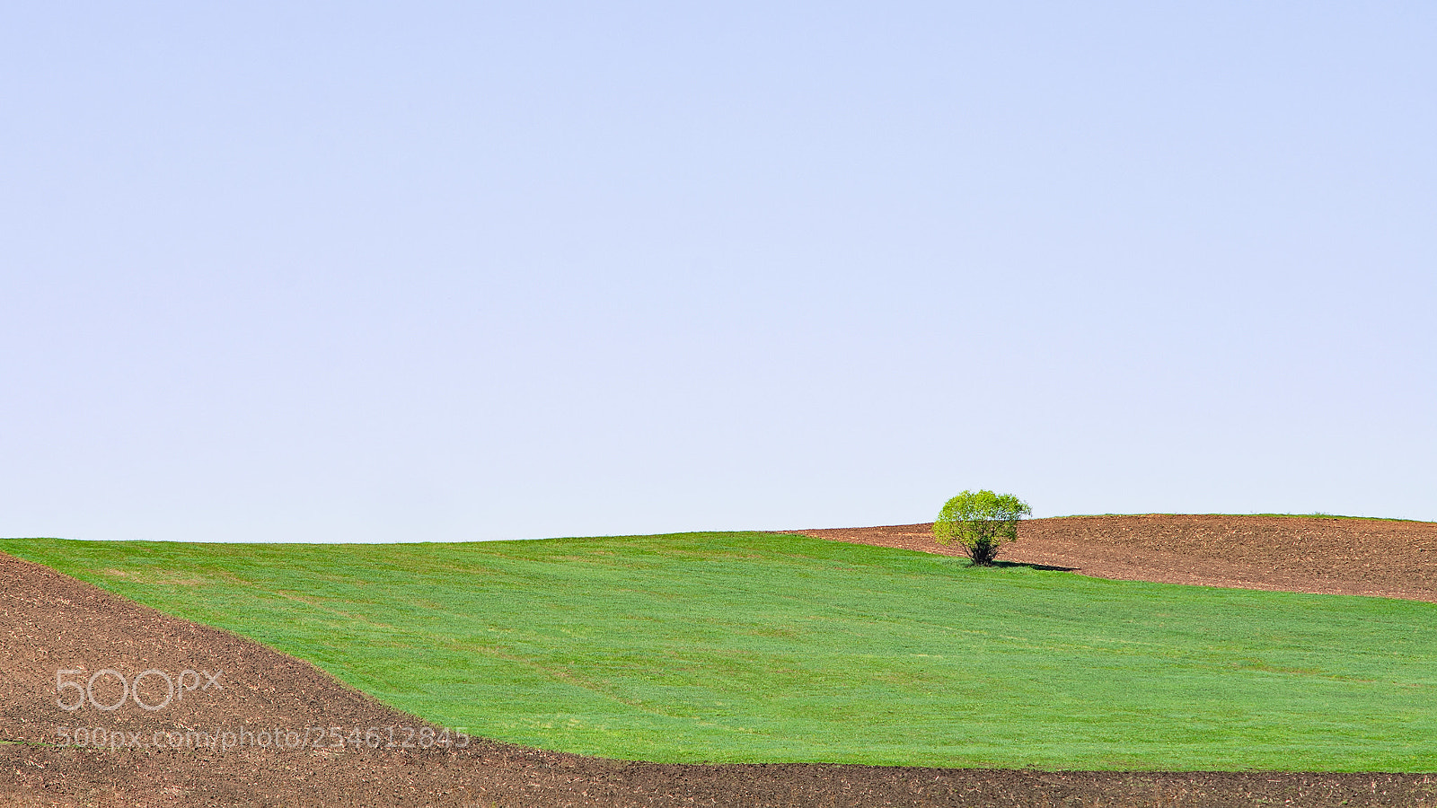 Nikon D7000 sample photo. Loneliness... photography