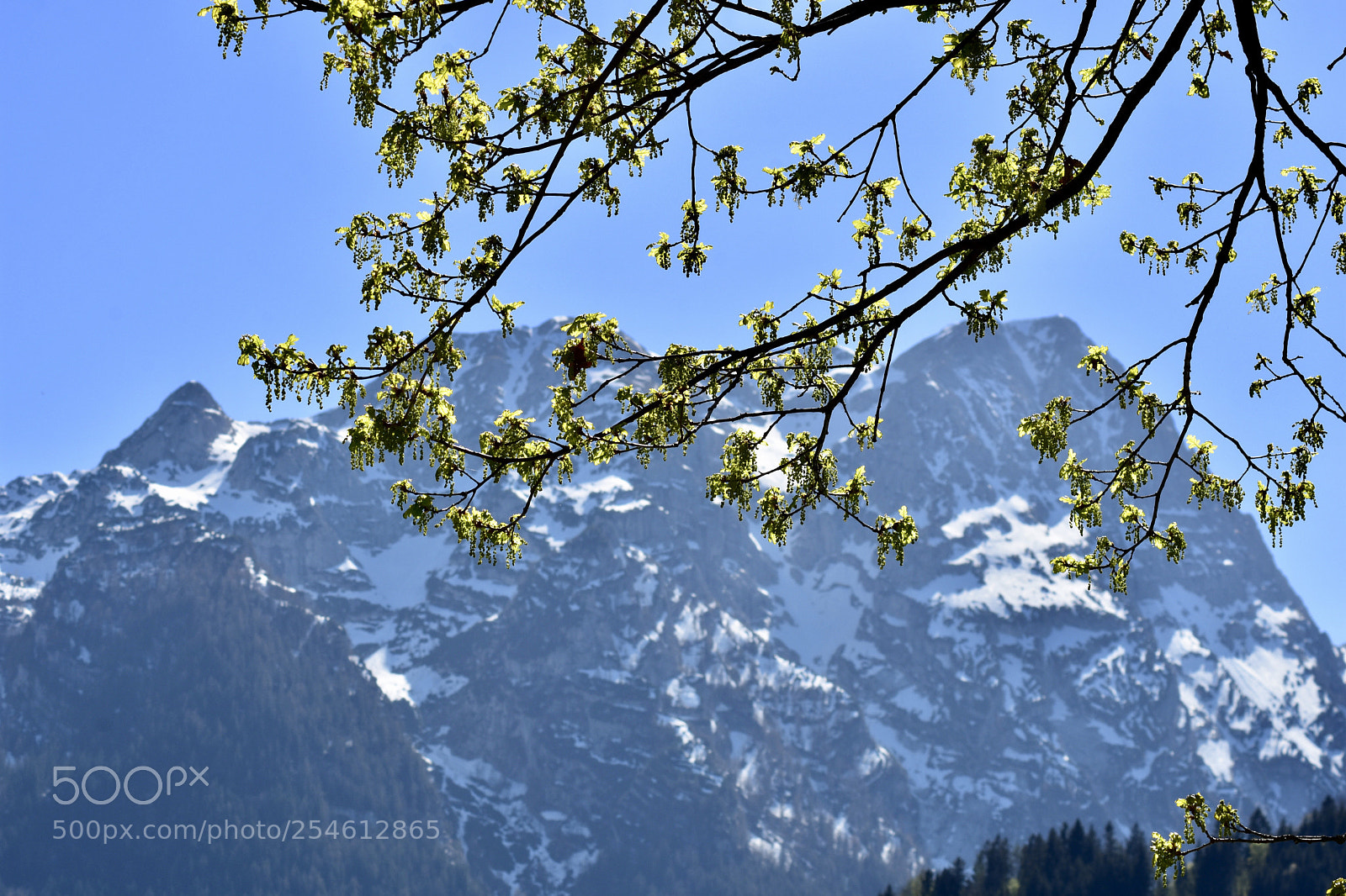 Nikon D7200 sample photo. Untitled photography