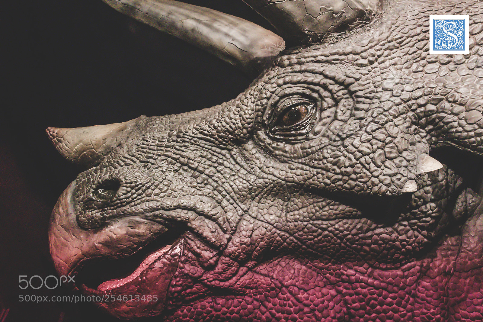 Canon EOS 100D (EOS Rebel SL1 / EOS Kiss X7) sample photo. Triceratops photography