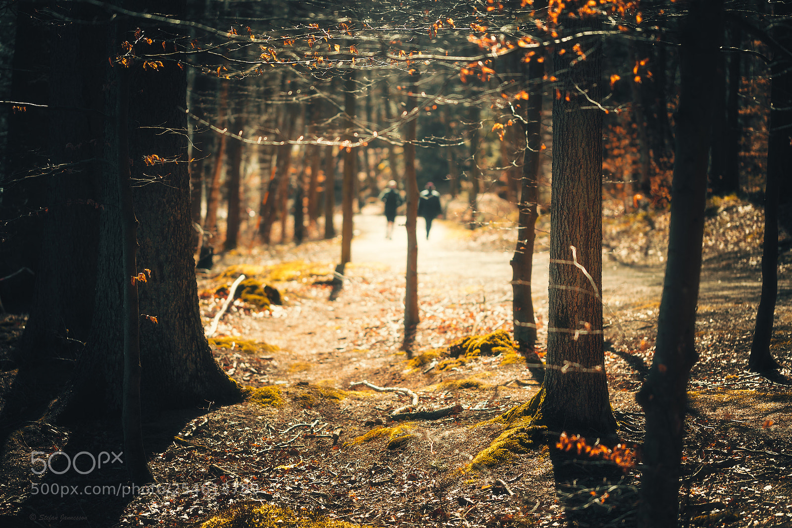Canon EOS 5DS R sample photo. Amos 3:3 photography