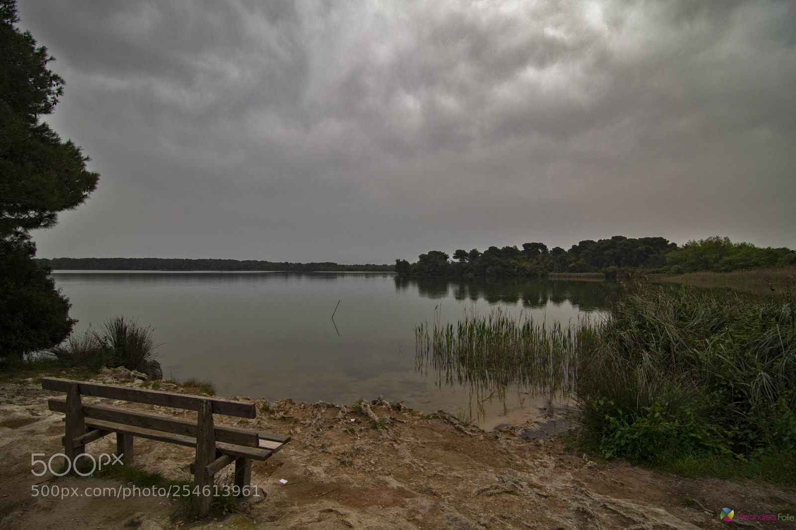 Nikon D7100 sample photo. Panchina sul lago photography
