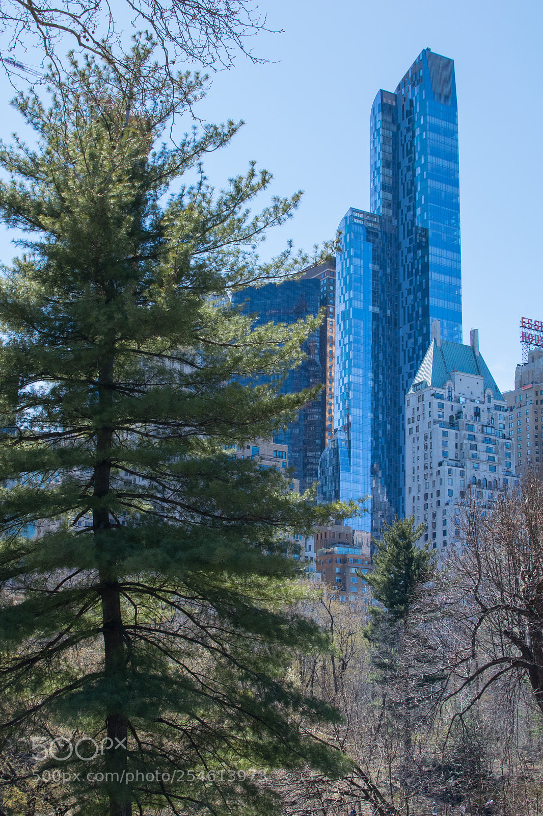 Nikon D5300 sample photo. Central park photography