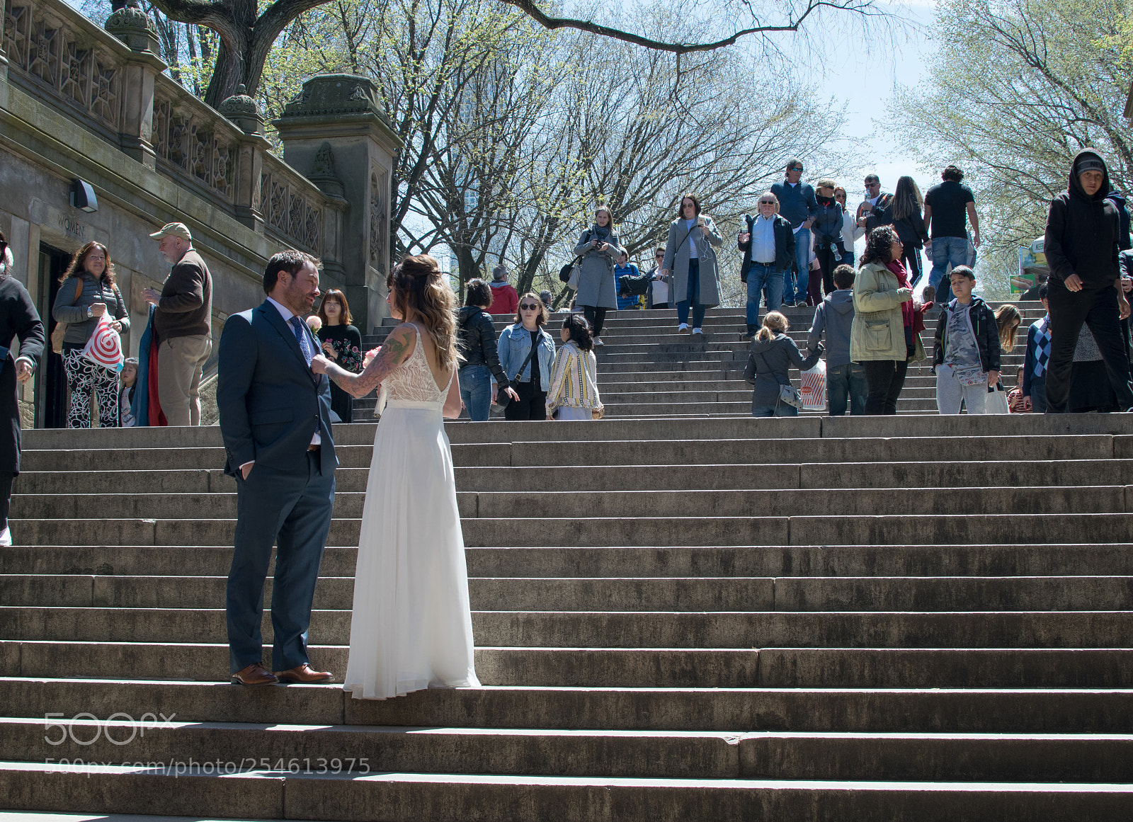 Nikon D5300 sample photo. Central park wedding photography