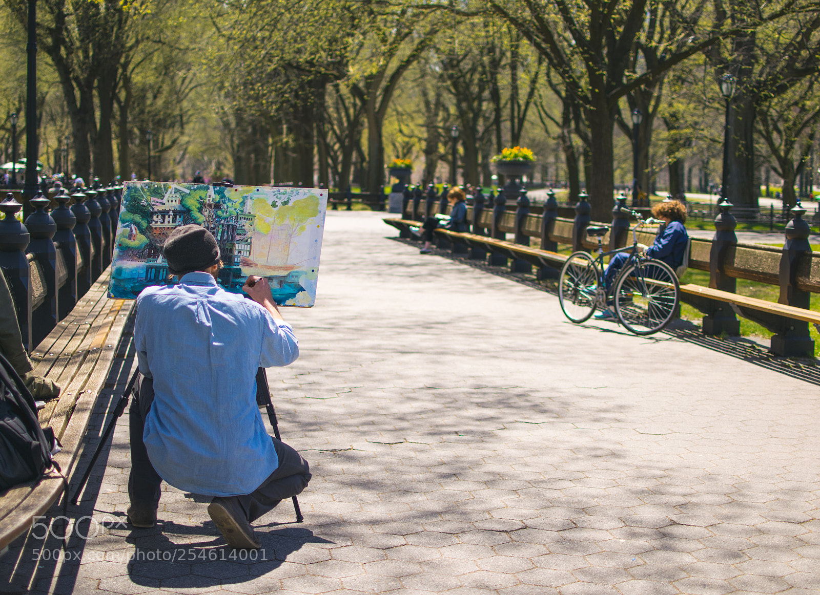 Nikon D5300 sample photo. Painter in central park 2 photography