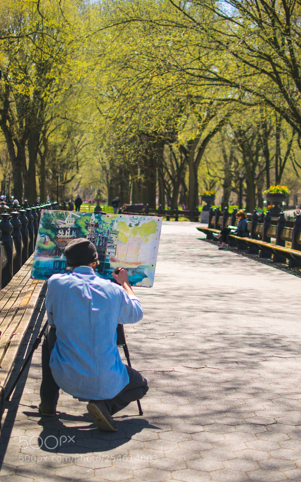 Nikon D5300 sample photo. Painter in central park photography