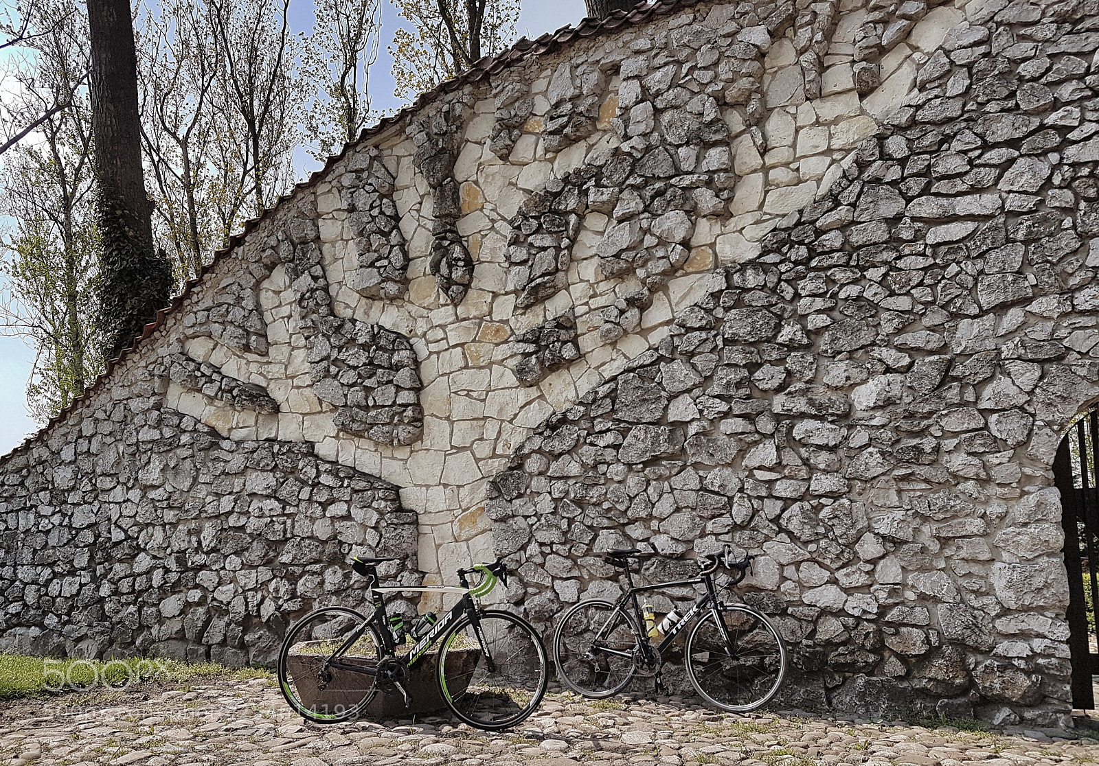 Samsung Galaxy S7 sample photo. Saturday ride photography
