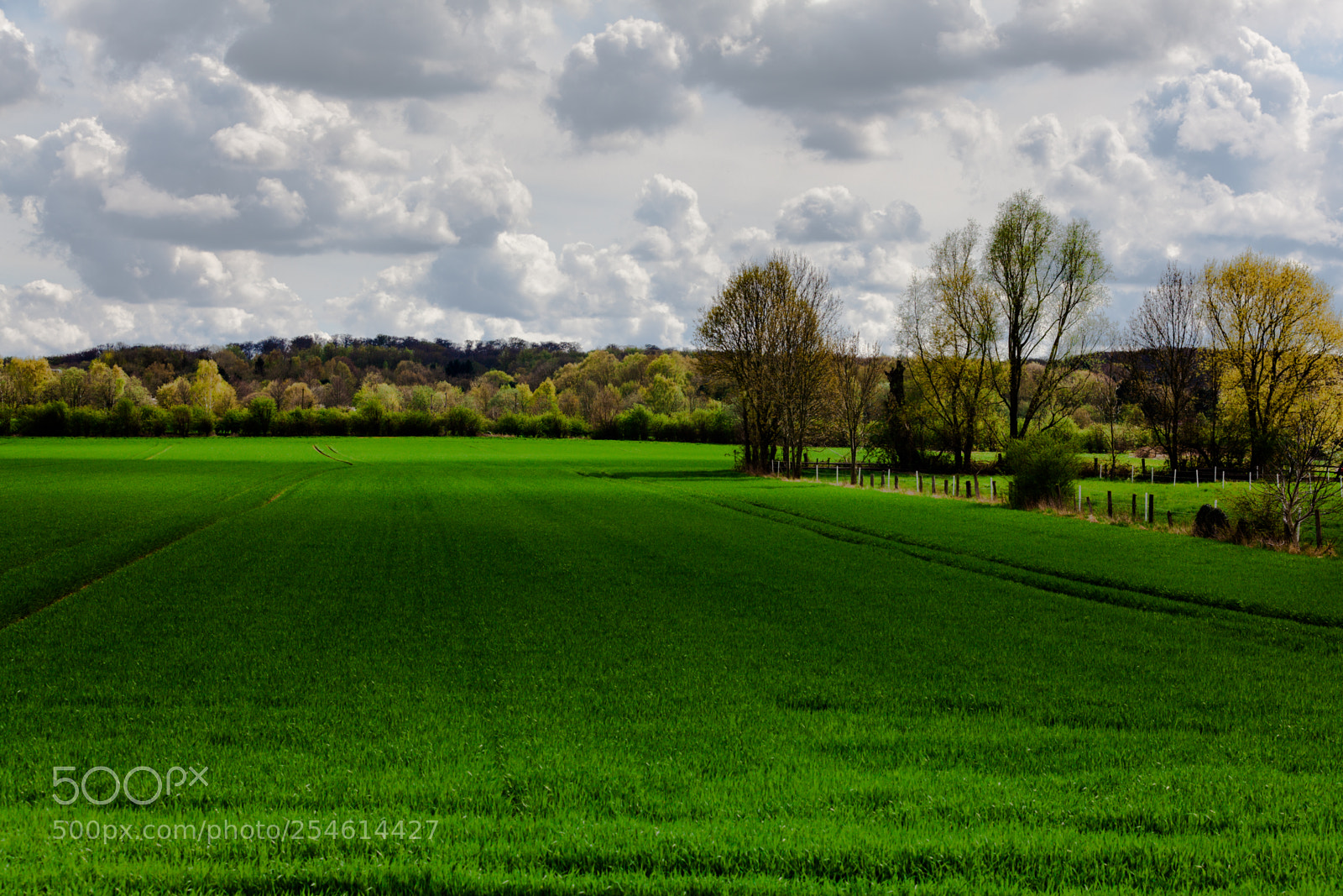 Canon EOS 5D Mark II sample photo. Landscape photography