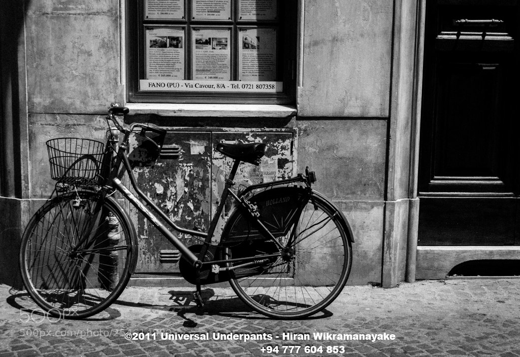 Nikon D80 sample photo. Untitled photography