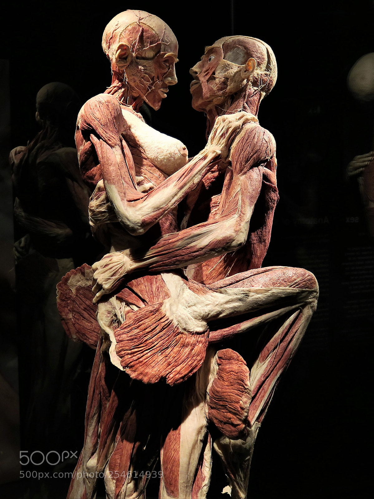 Canon PowerShot G3 X sample photo. Dead bodies and love photography