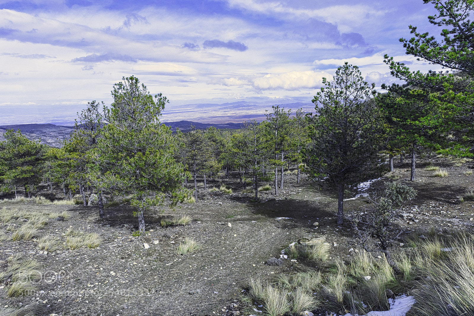 Nikon D810 sample photo. Sierra de baza photography