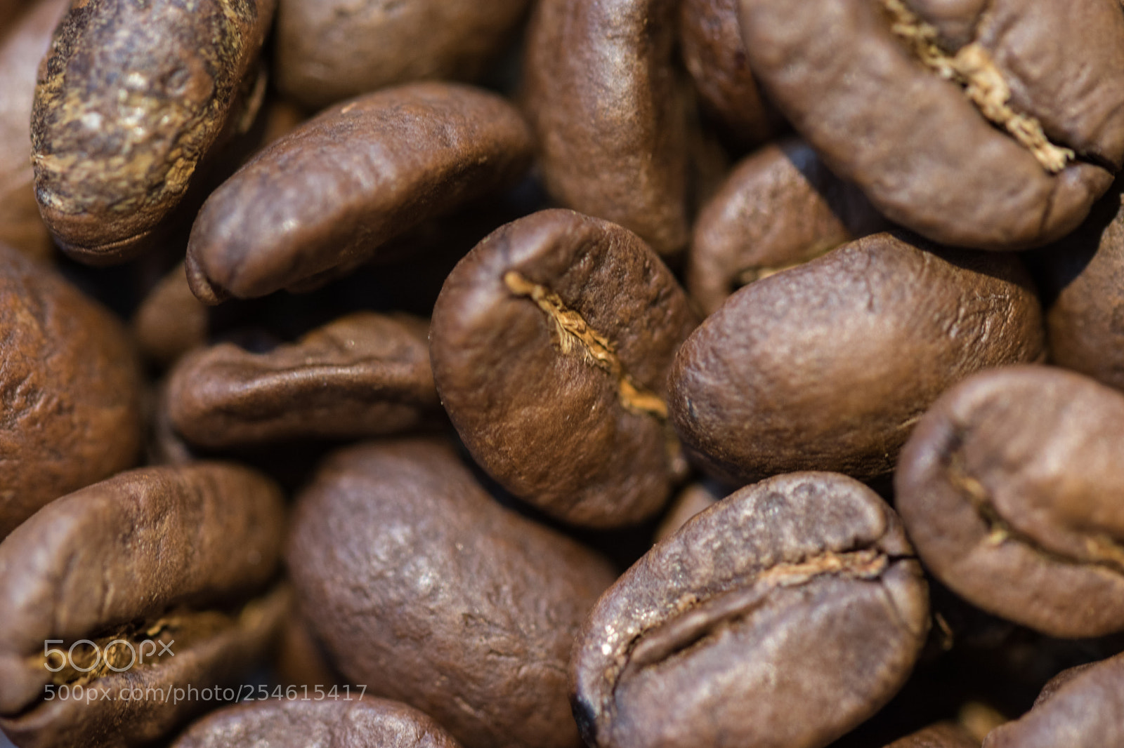 Nikon D5600 sample photo. Coffee grain. photography