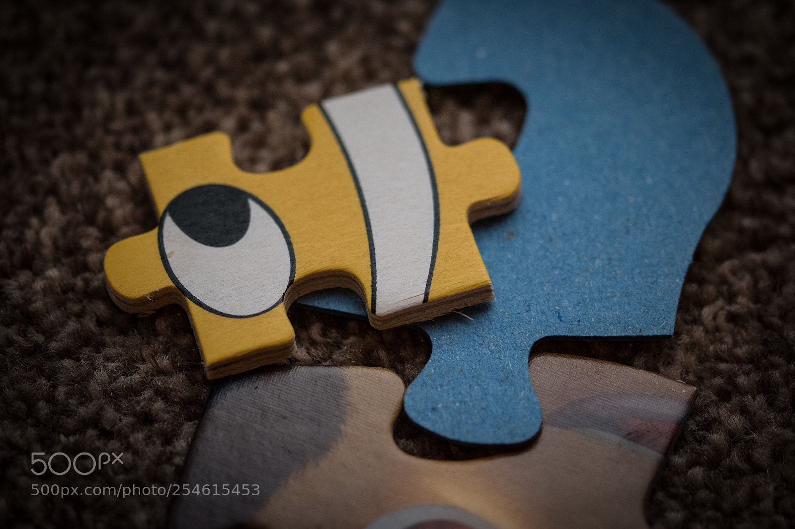 Nikon D5600 sample photo. Puzzle photography