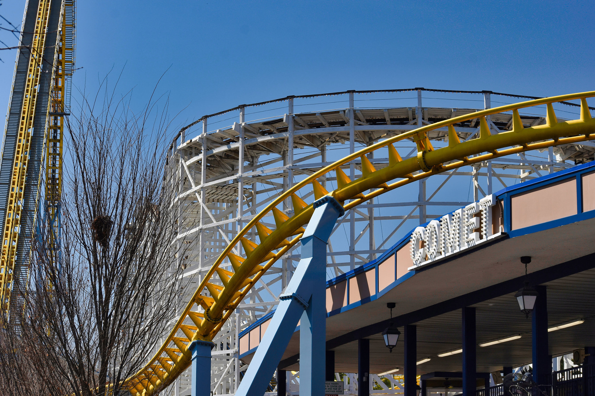 Nikon D5500 sample photo. Hershey park photography
