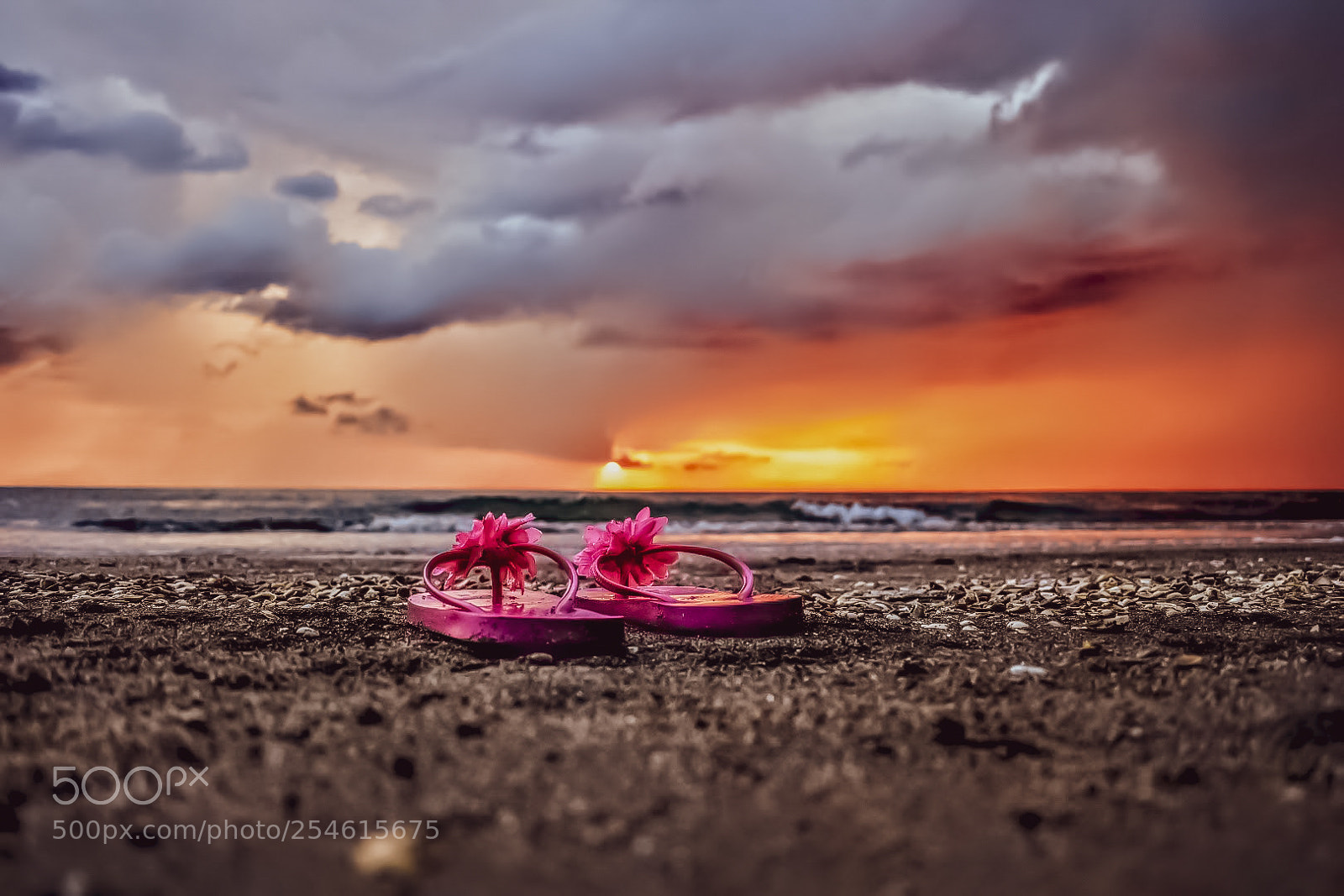 Nikon D5600 sample photo. Sunset photography