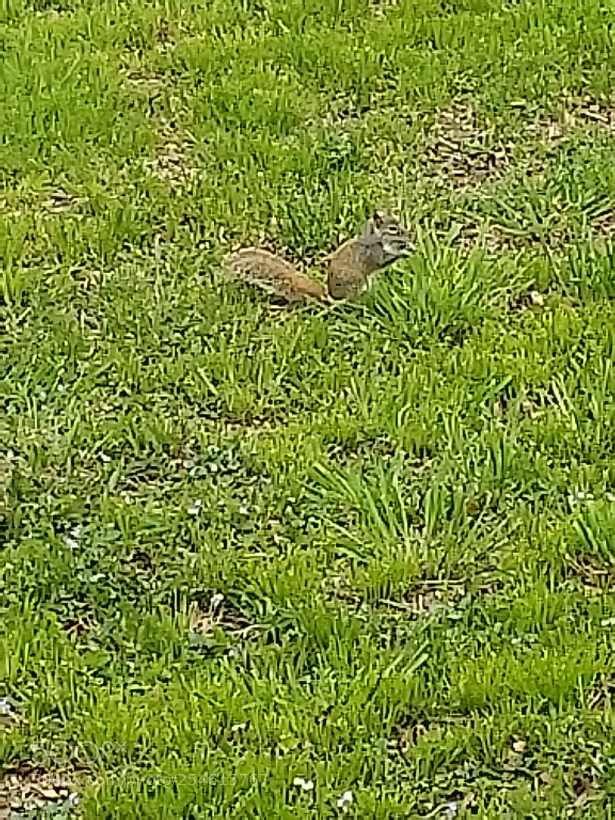 Samsung Galaxy S9 sample photo. Untitled photography