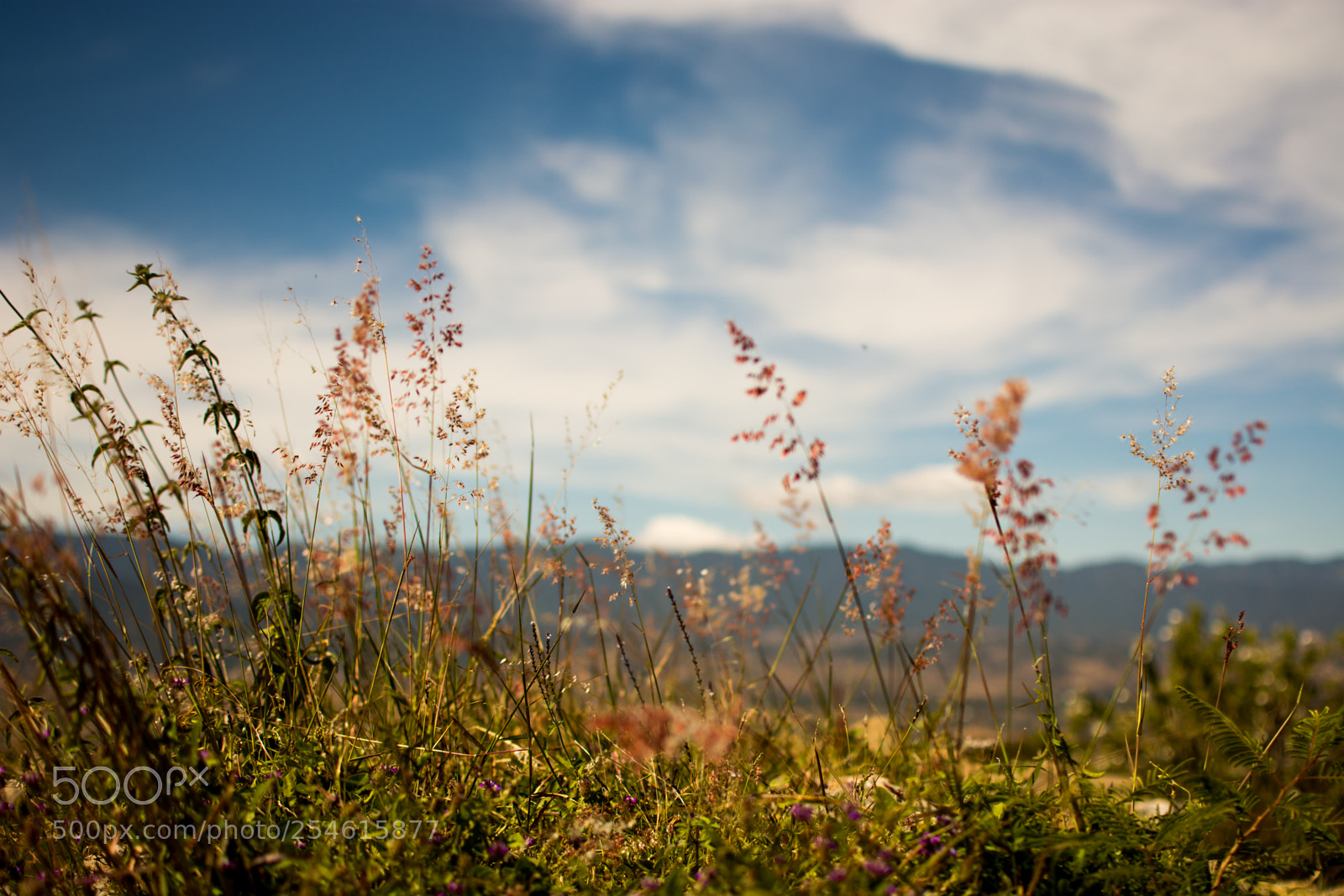 Nikon D7100 sample photo. Life photography