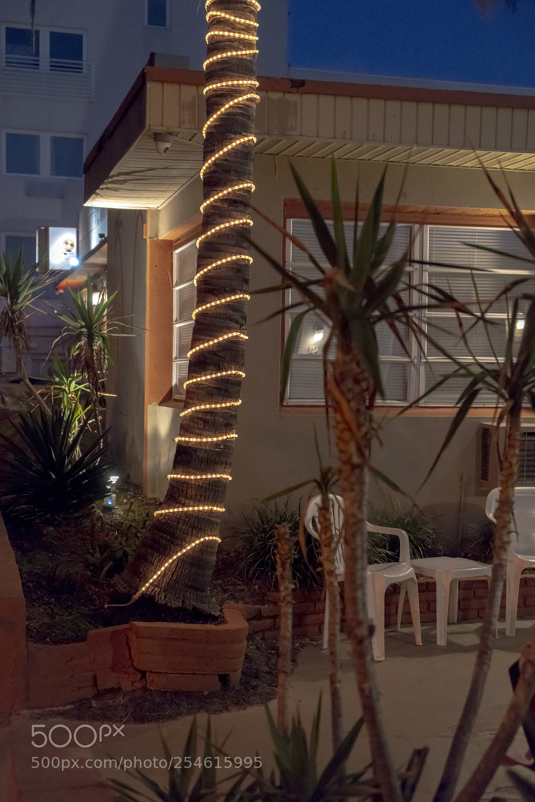 Sony a7R III sample photo. Night light photography