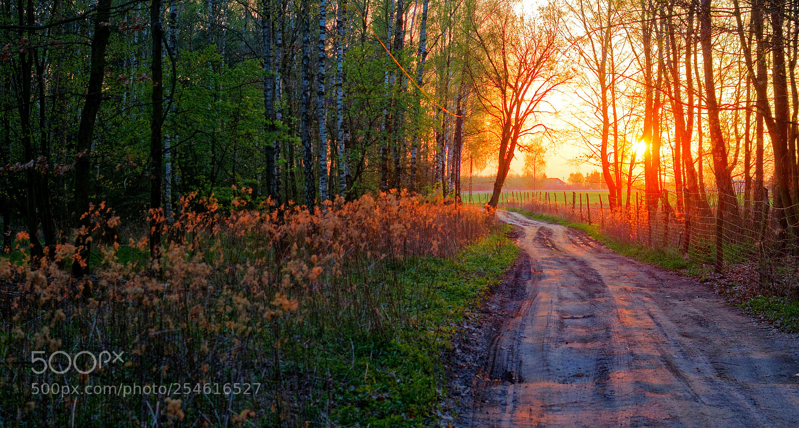 Pentax K-30 sample photo. Road to the sun photography