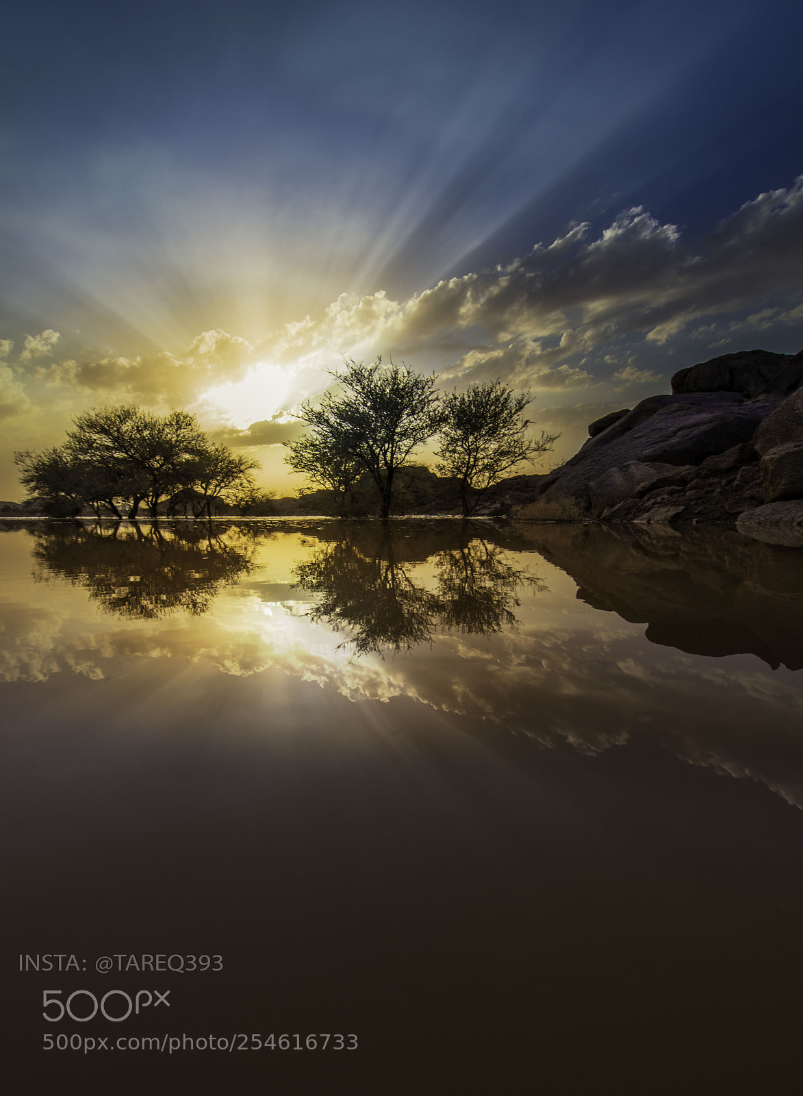 Nikon D800 sample photo. Magic desert photography