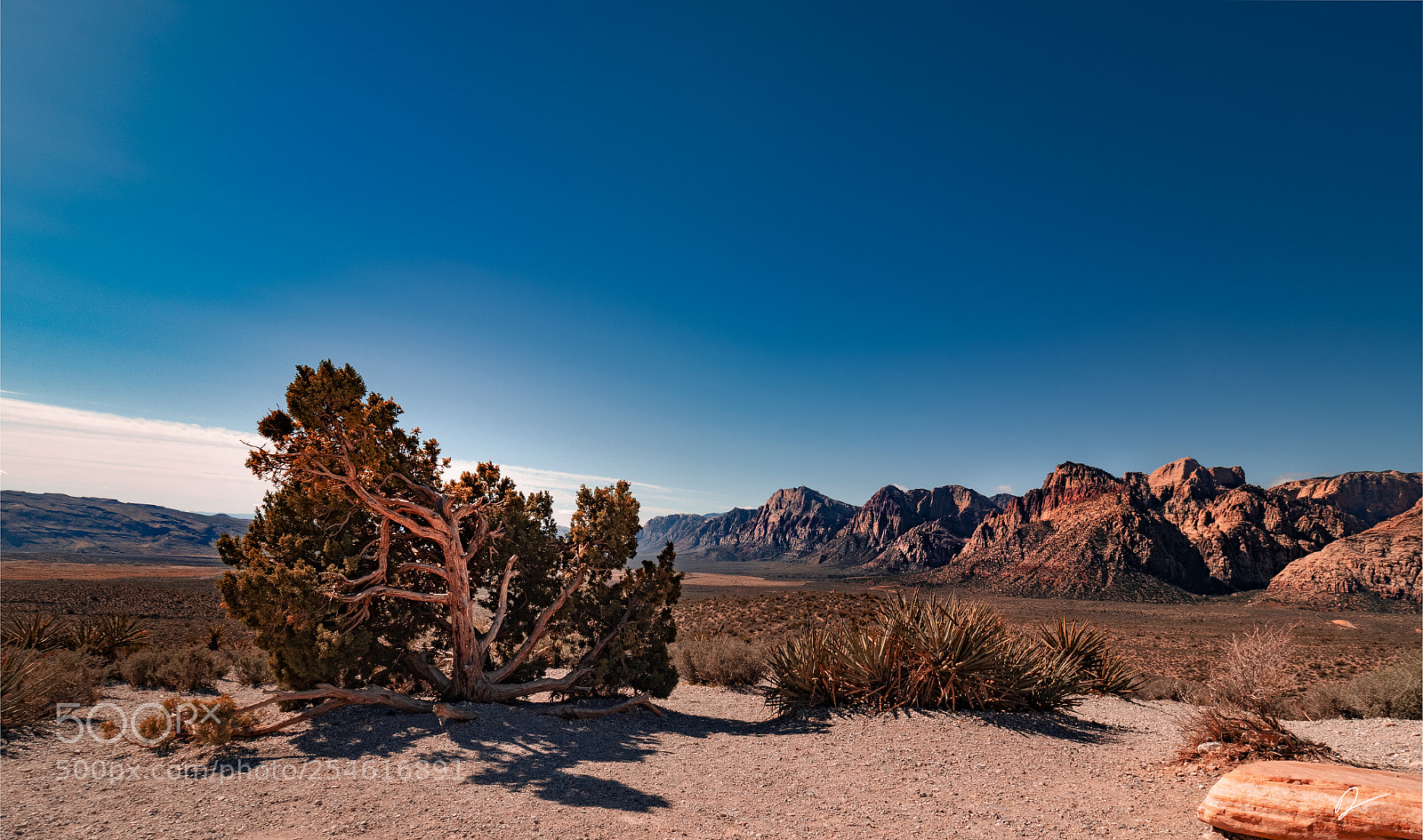 Olympus PEN-F sample photo. Red rocks rework photography