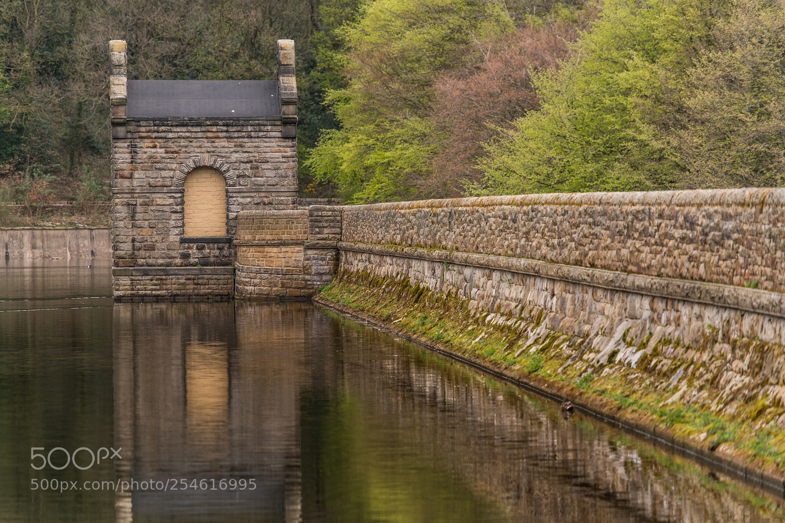 Nikon D850 sample photo. Linacre reservior i photography