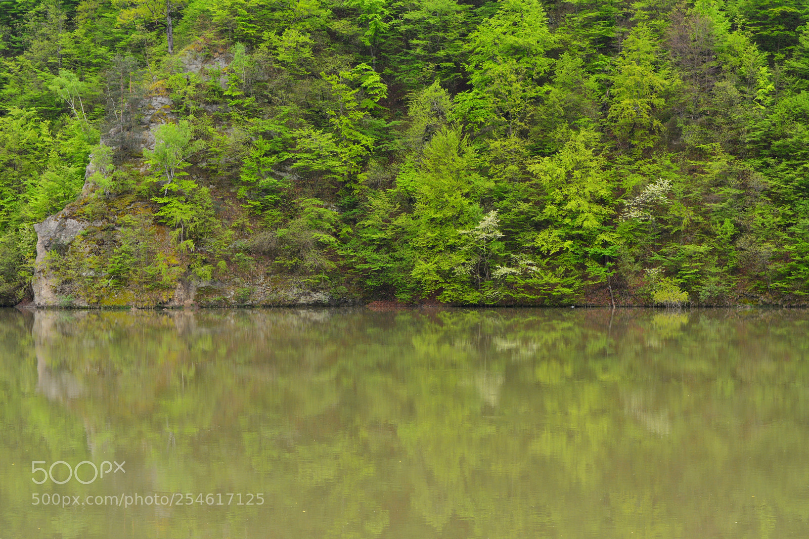 Nikon D5200 sample photo. Spring reflexion photography