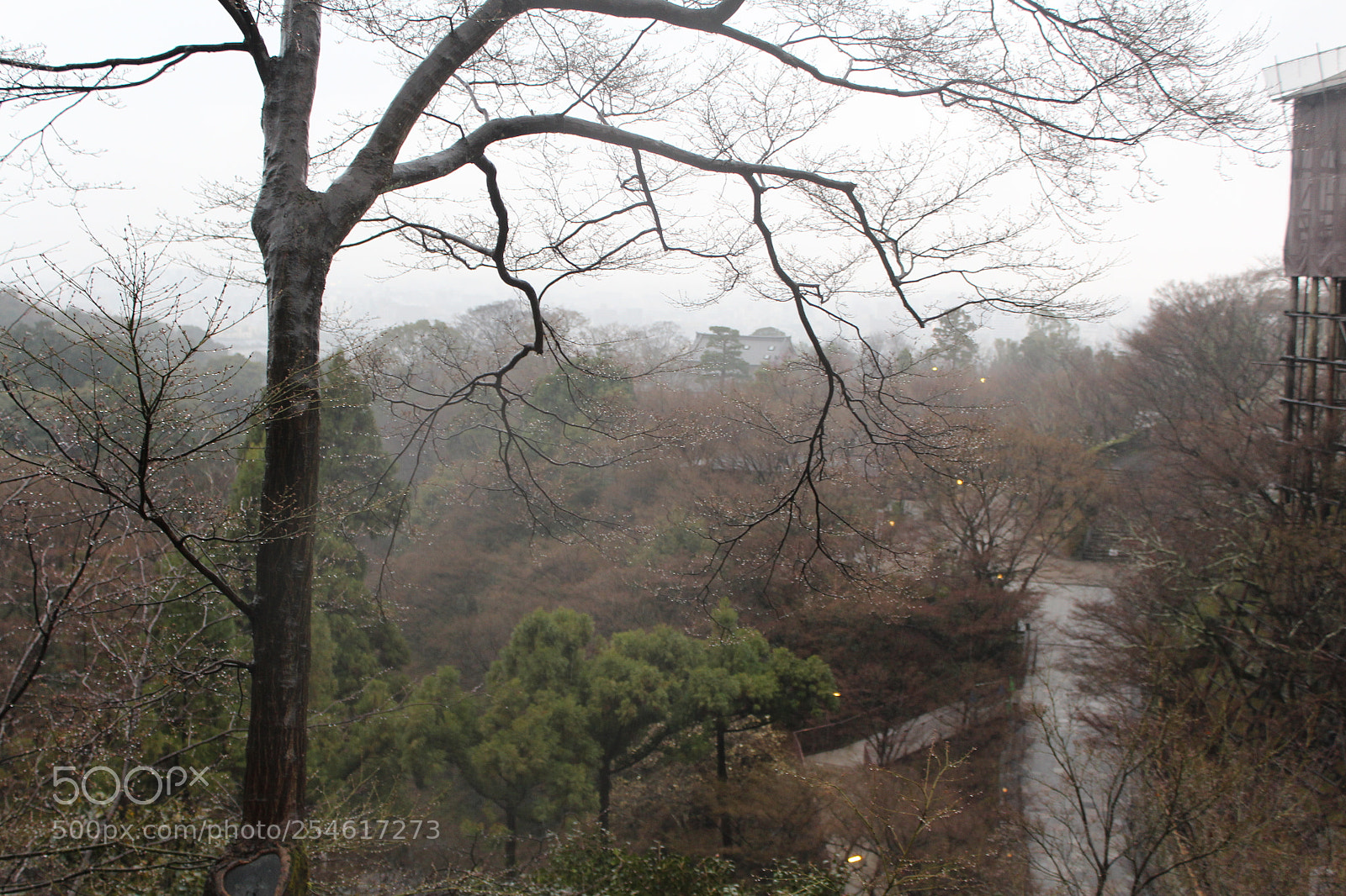 Canon EOS 1200D (EOS Rebel T5 / EOS Kiss X70 / EOS Hi) sample photo. Winter rains photography