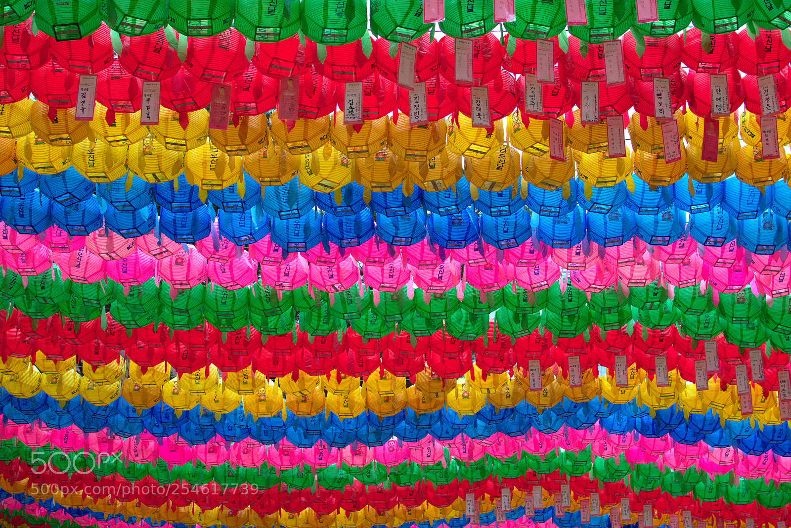 Nikon D3400 sample photo. Rainbow lanterns photography