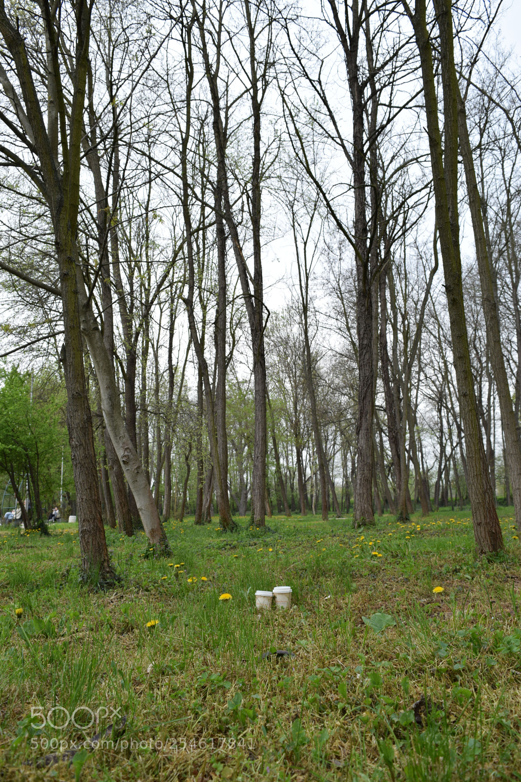 Nikon D3300 sample photo. You and i photography