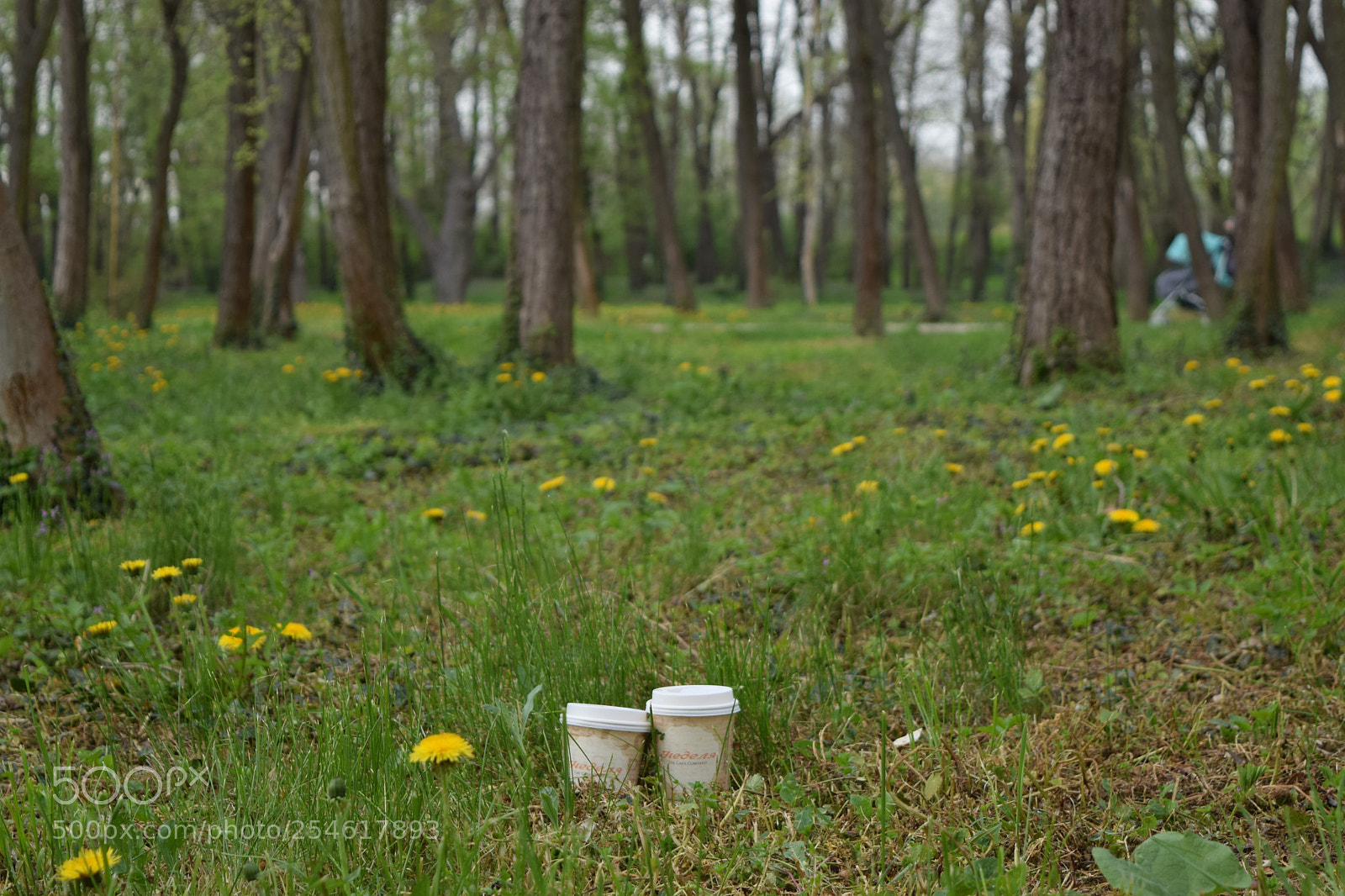 Nikon D3300 sample photo. Coffee time photography
