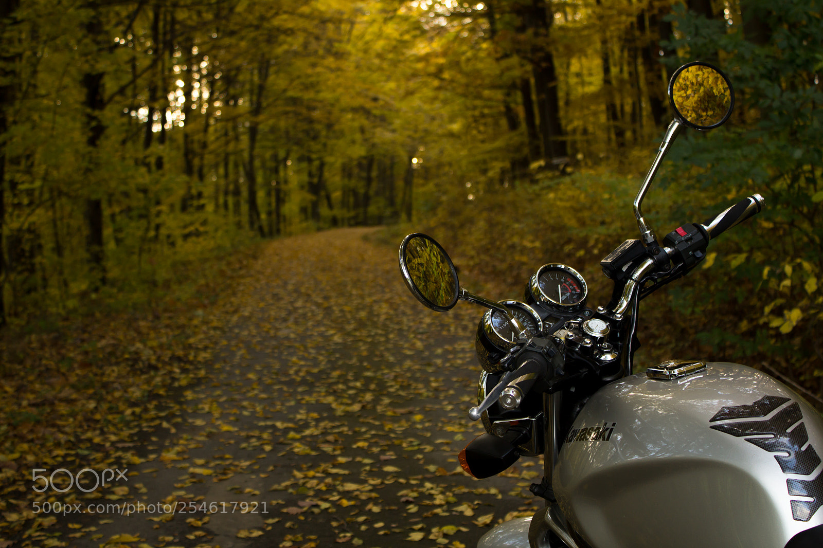 Canon EOS 600D (Rebel EOS T3i / EOS Kiss X5) sample photo. Autumn motorbike trip photography