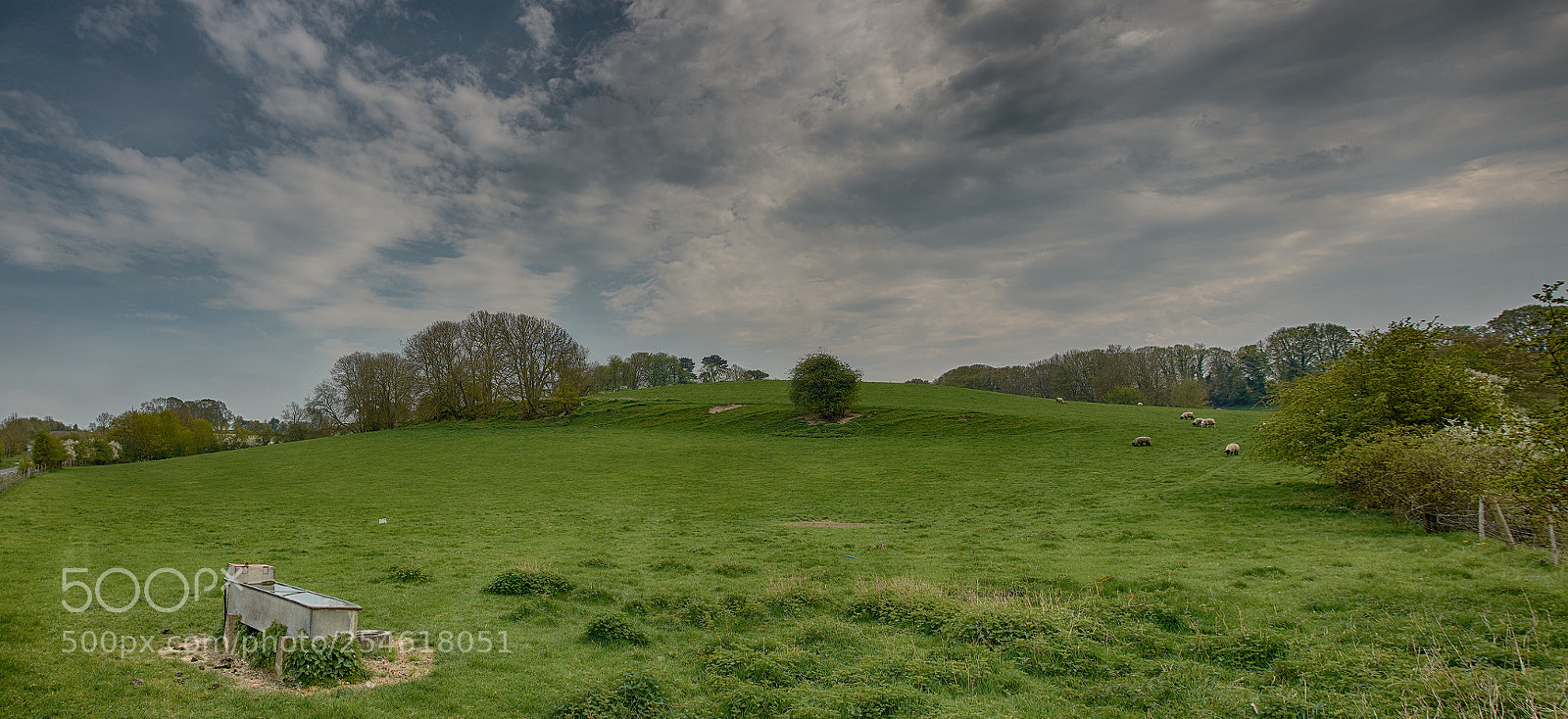 Nikon D7200 sample photo. Rural hertfordshire photography