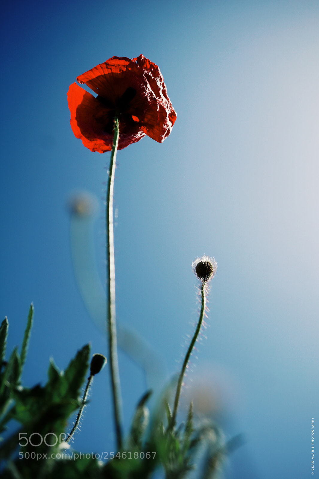 Sony a6000 sample photo. Untitled photography