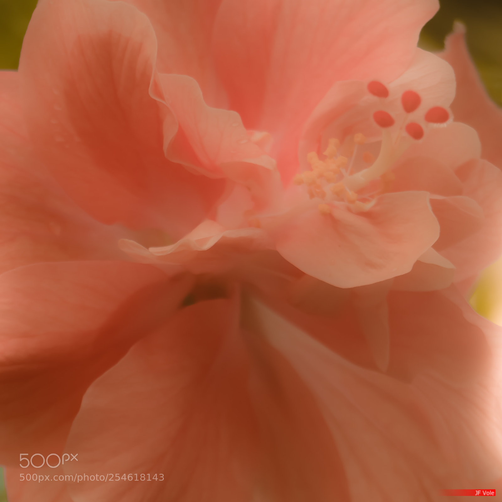 Canon EOS 760D (EOS Rebel T6s / EOS 8000D) sample photo. Détails 101 photography