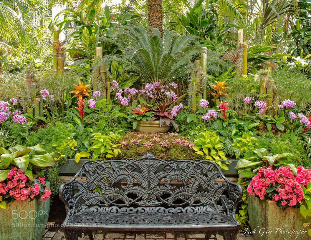 Canon EOS 5DS sample photo. A good place to photography