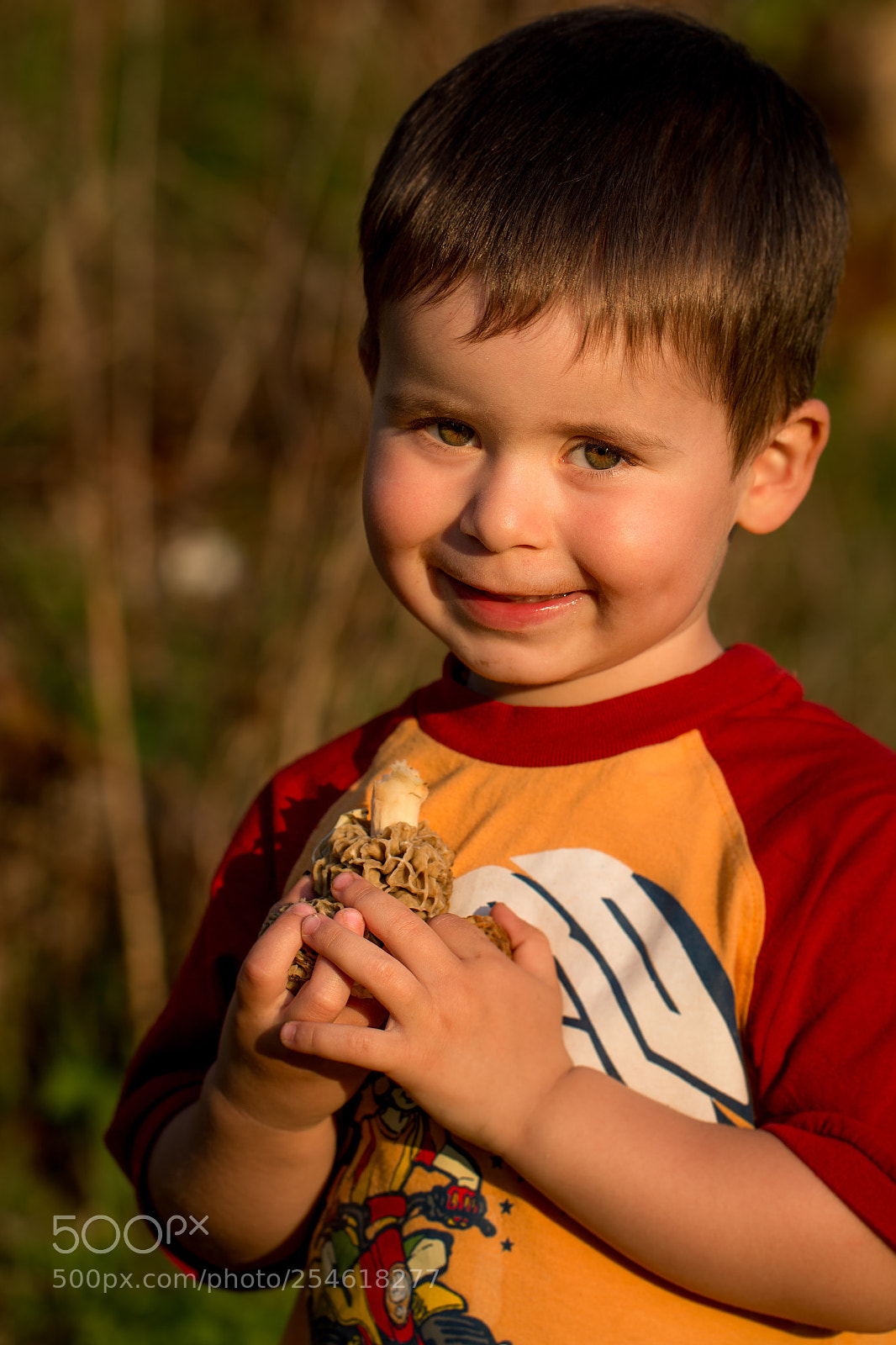 Canon EOS 70D sample photo. Tino  photography