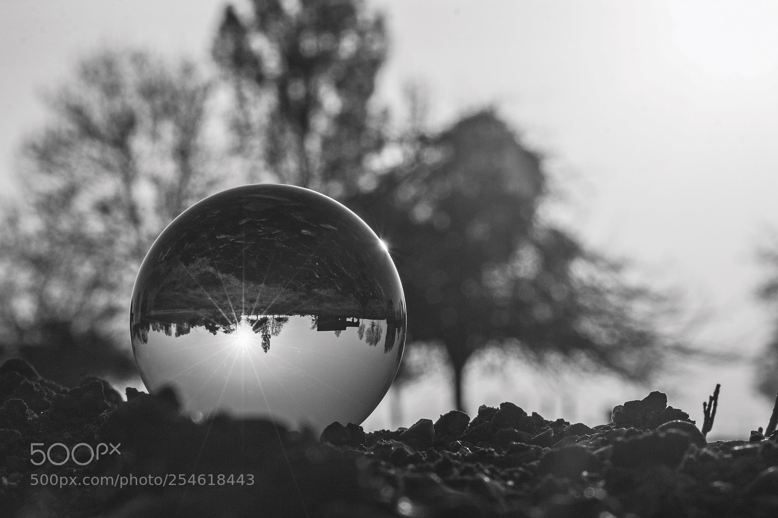 Canon EOS 600D (Rebel EOS T3i / EOS Kiss X5) sample photo. Glass ball bw photography